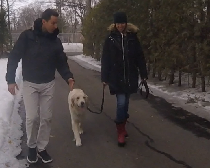 Leadership Based Dog Training | 104 Av. Angell, Beaconsfield, QC H9W 4V7, Canada | Phone: (514) 965-5869