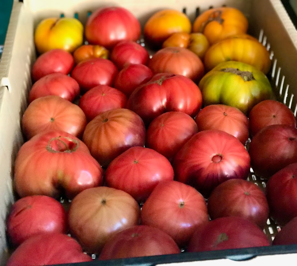 Plenty Wild Farms | 7611 Pemberton Meadows Rd, Pemberton, BC V0N 2L2, Canada | Phone: (604) 938-3730