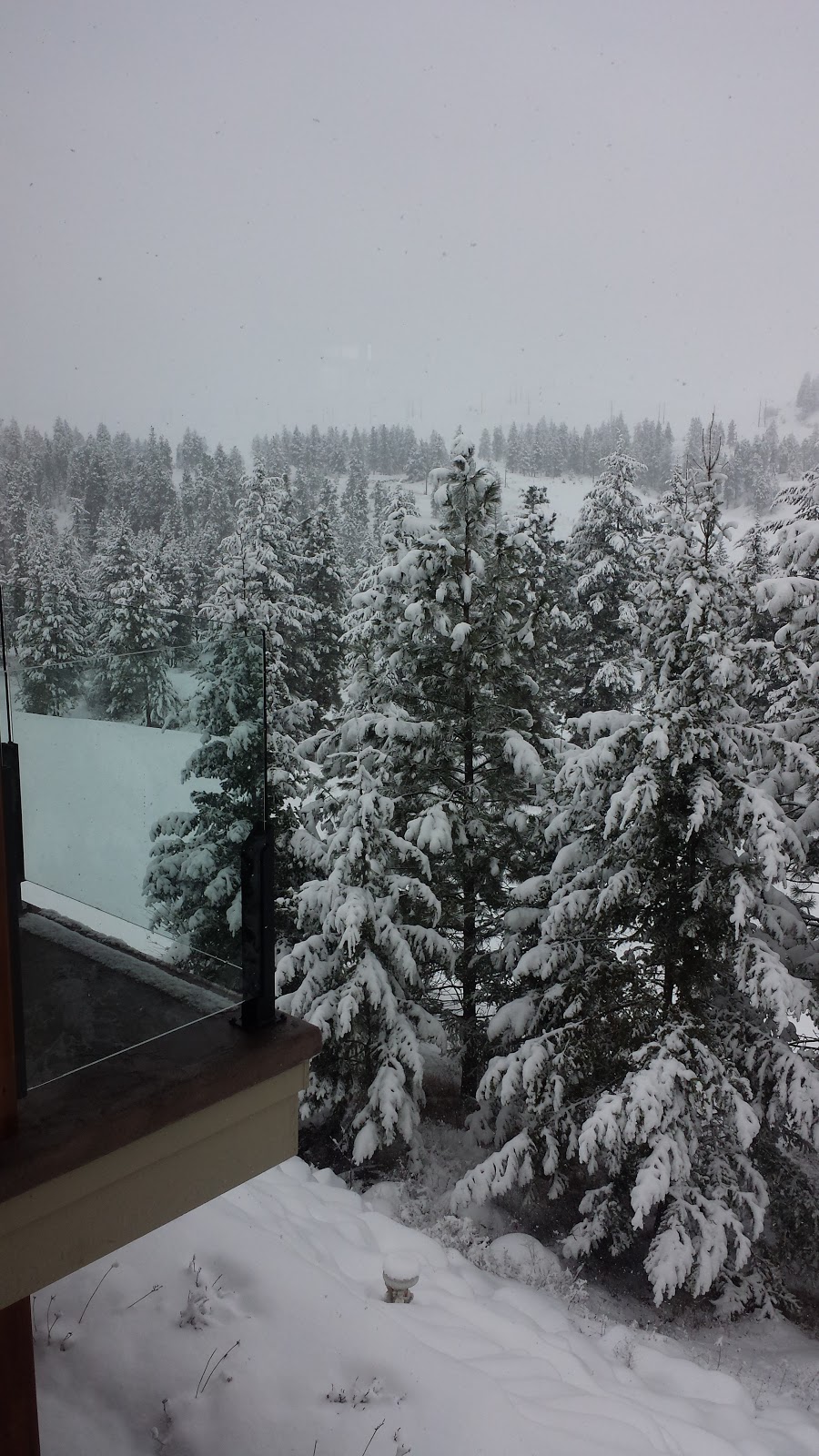 Fairways B&B | 876 Stockley St, Kelowna, BC V1P 1R6, Canada | Phone: (778) 753-1731