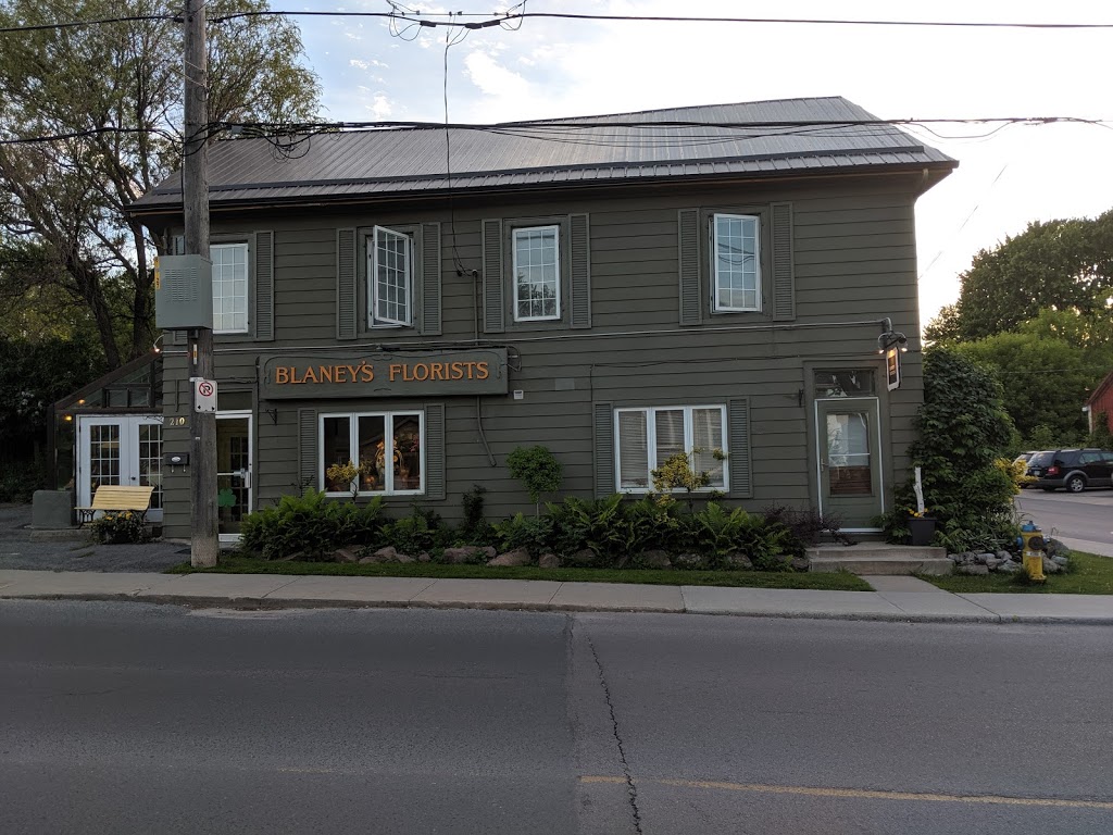 Blaneys Florists Ltd | 210 Montreal St, Kingston, ON K7K 3G4, Canada | Phone: (613) 544-5138