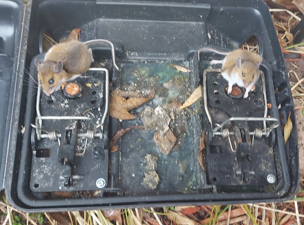 Jays Pest Control | 5 Acadia Dr, Cobourg, ON K9A 1T8, Canada | Phone: (905) 377-1035