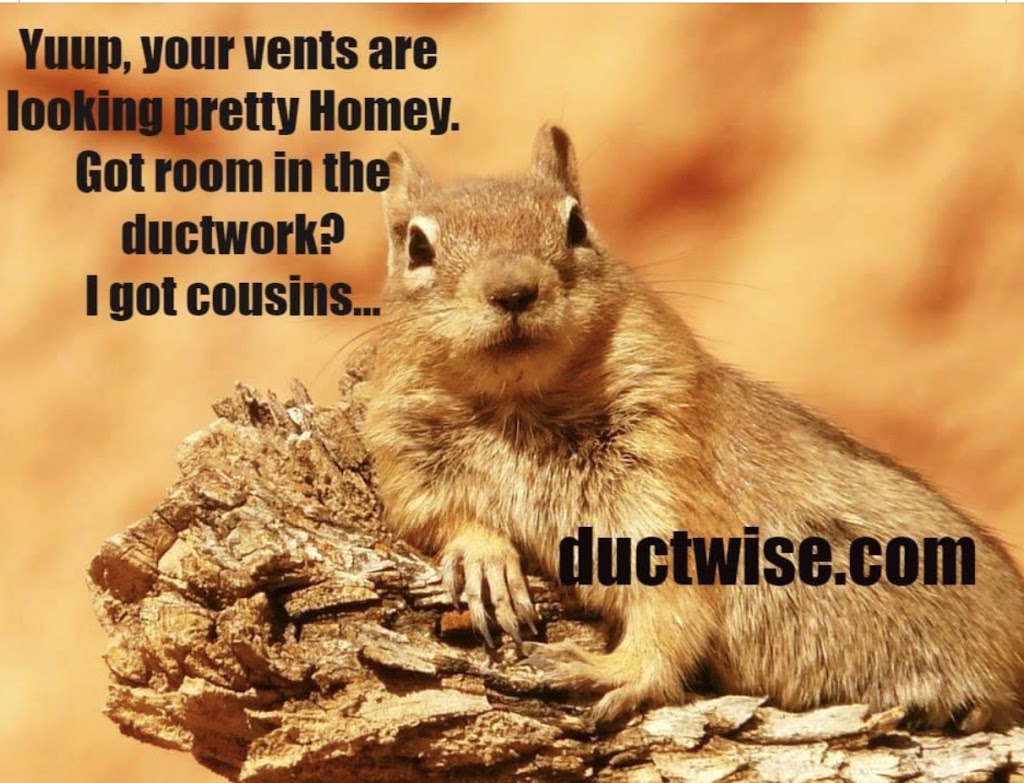 Ductwise Duct Cleaning Oshawa Whitby Ajax | 653 Hillcroft St, Oshawa, ON L1G 2S5, Canada | Phone: (800) 324-7582
