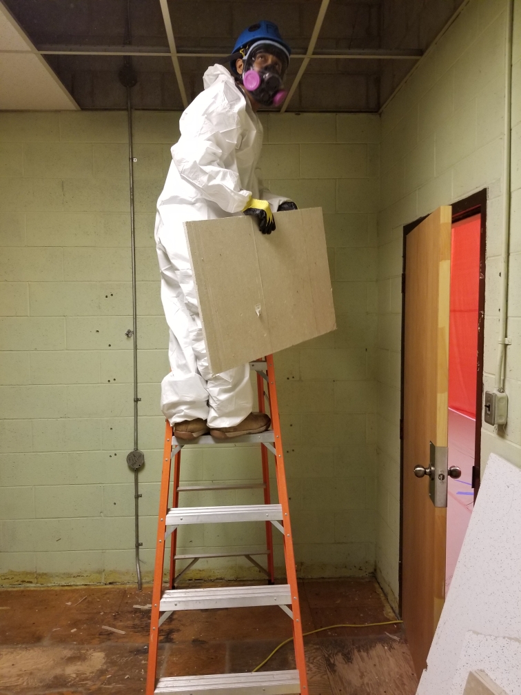 Done Environmental | 14 Frank Street, 1901 Sheppard Ave W, North York, ON M3L 1Y4, Canada | Phone: (416) 629-6779