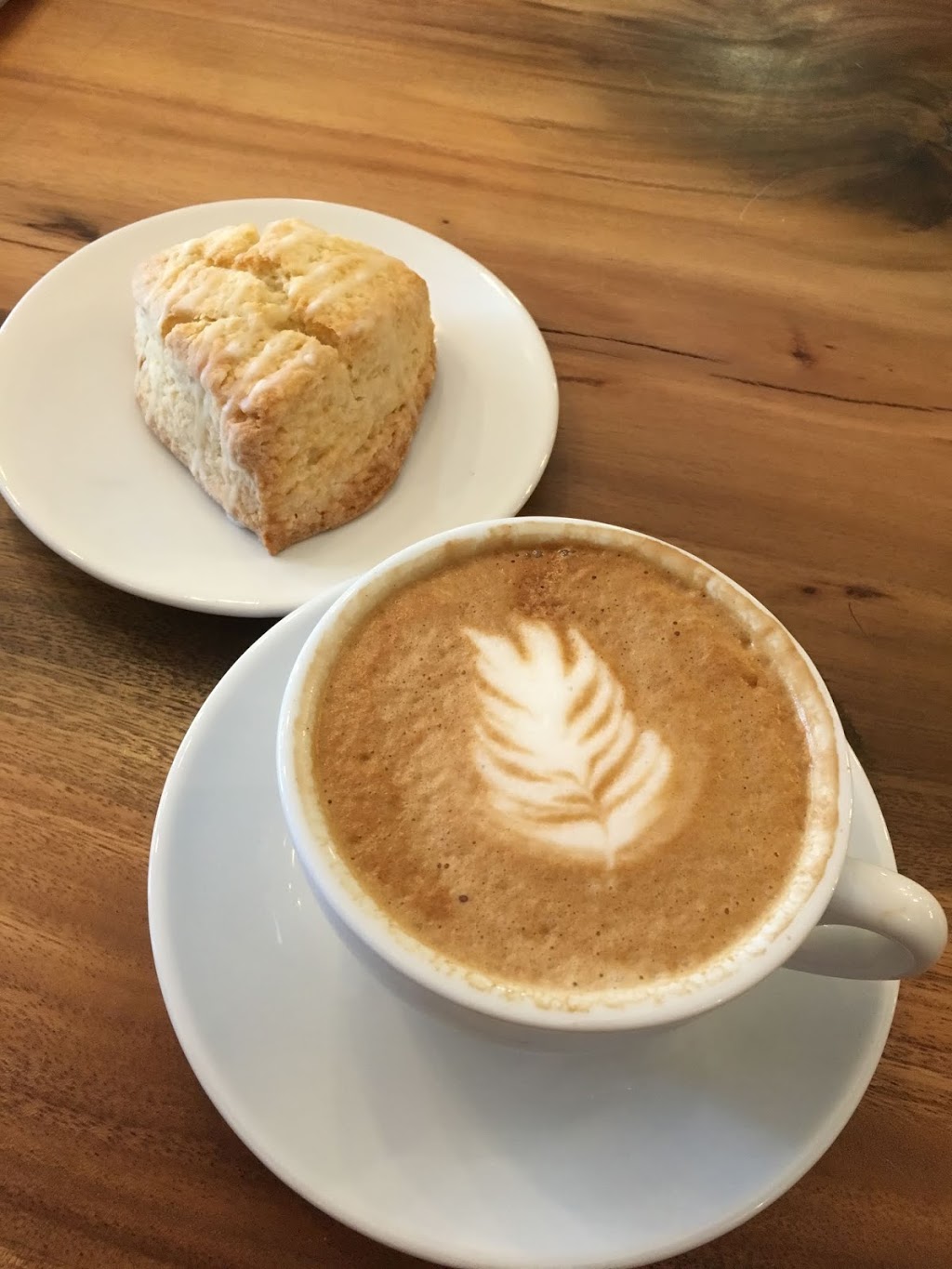 Mofer coffee | 1040 St Clair Ave W, Toronto, ON M6E 1A5, Canada | Phone: (647) 350-9120
