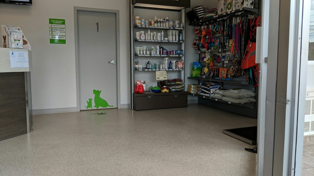 Clinique Veterinaire St-Rymnd | 734 Rue Saint Joseph, Saint-Raymond, QC G3L 1M5, Canada | Phone: (418) 337-8140
