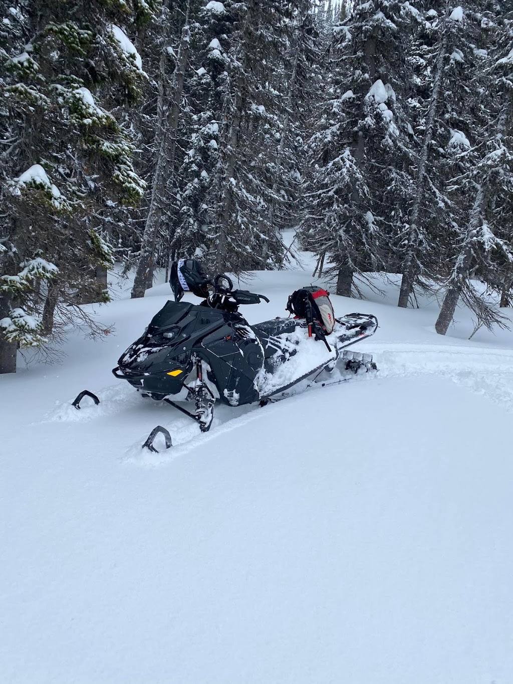 Elk Valley Rentals | 1319 Beach Ave, Fernie, BC V0B 1M1, Canada | Phone: (306) 736-7940