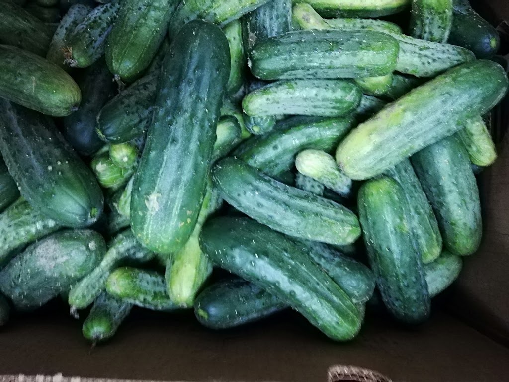 Natures Fruit Basket | 5535 BC-97, Oliver, BC V0H 1T9, Canada | Phone: (250) 498-7072