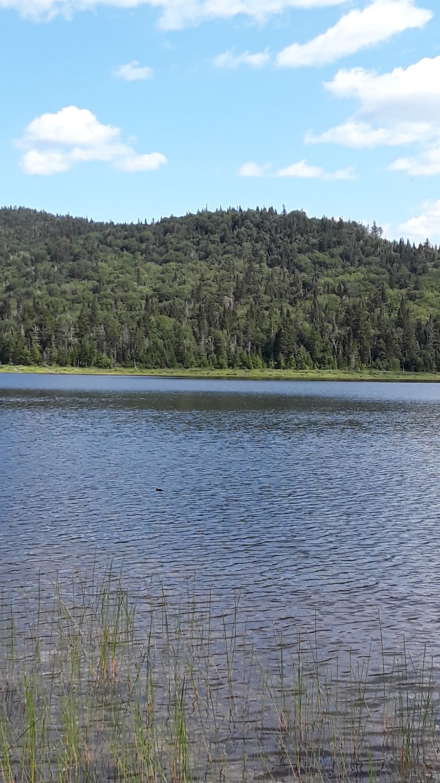 Refuge Paul-Perreault | Saint-Donat, Lanaudière, Quebec, QC J0T 2C0, Canada | Phone: (866) 266-2730