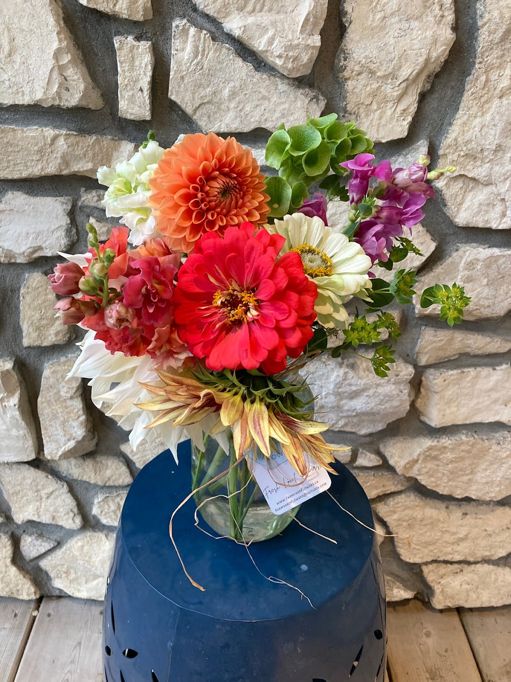 Farmyard Flowers | 1 Railway Ave, Broad Valley, MB R0C 0K0, Canada | Phone: (204) 308-0018