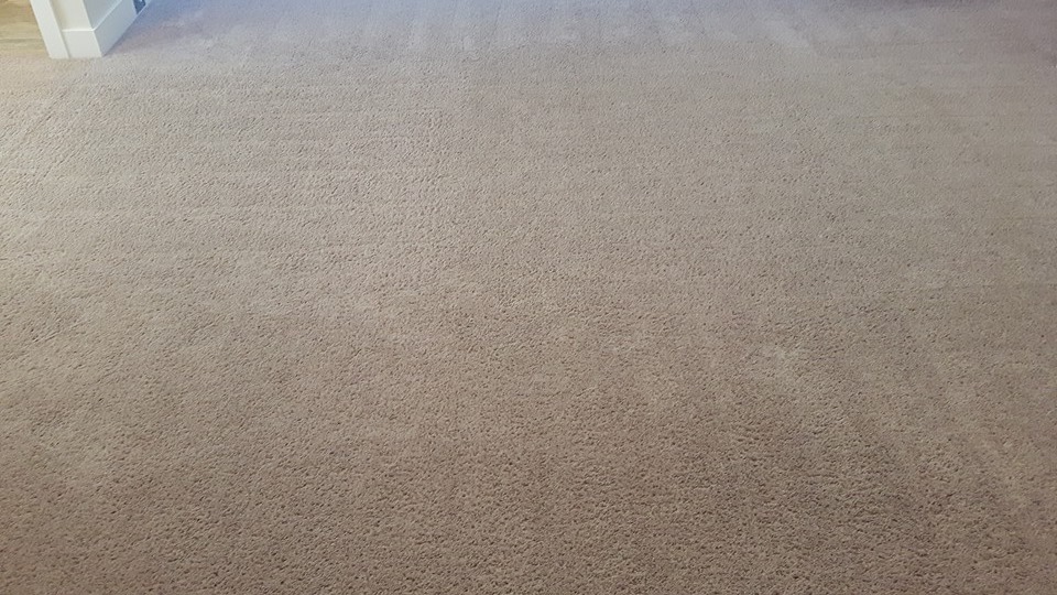 Clean Evolve Cleaning Services | 45411 Labelle Ave, Chilliwack, BC V2P 6Z3, Canada | Phone: (604) 799-3801