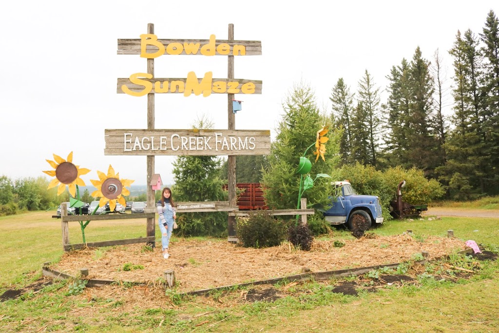 Bowden SunMaze | 34530 Range Rd 14, Bowden, AB T0M 0K0, Canada | Phone: (403) 224-3995