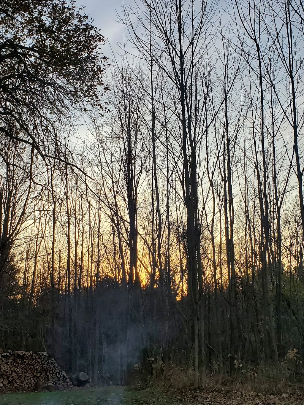 Morris Tract Provincial Nature Reserve | 36833 Londesboro Rd, Goderich, ON N7A 3Y1, Canada | Phone: (519) 243-2220