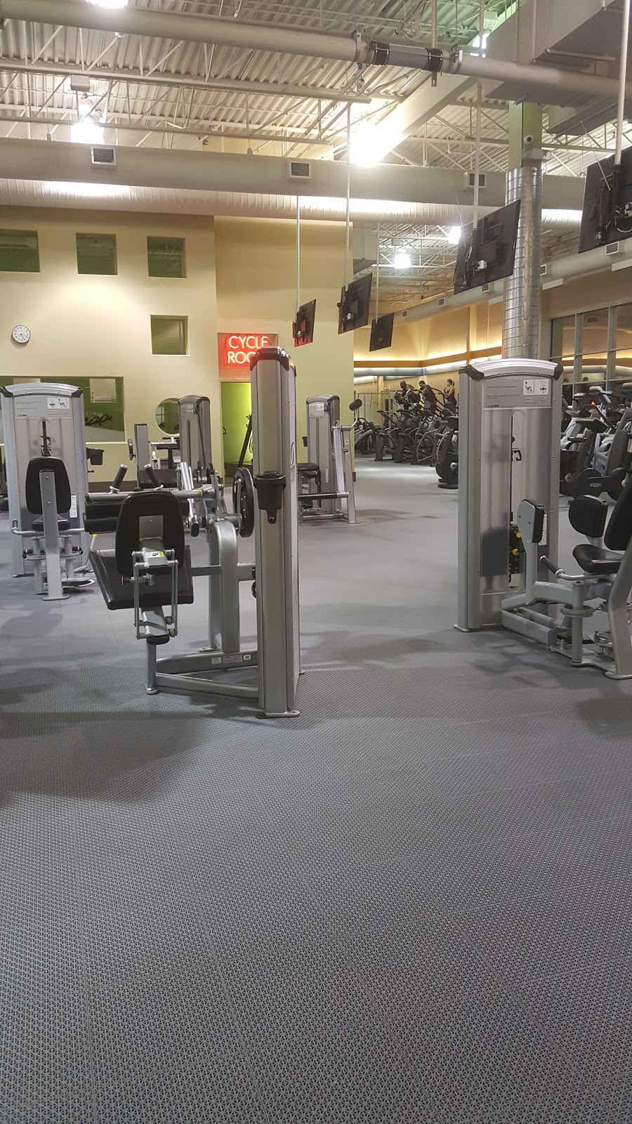 Shapes Fitness Pembina | 21-1910 Pembina Hwy, Winnipeg, MB R3T 4S5, Canada | Phone: (204) 989-7050