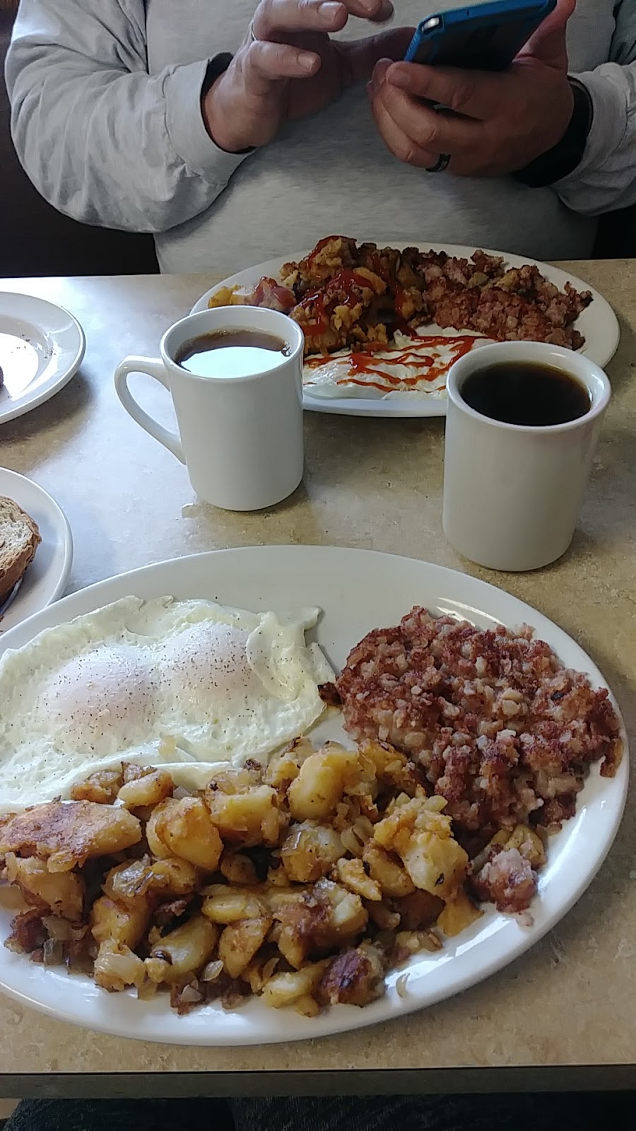 Apollo Family Restaurant | 423 Hopkins St, Buffalo, NY 14220, USA | Phone: (716) 825-9087