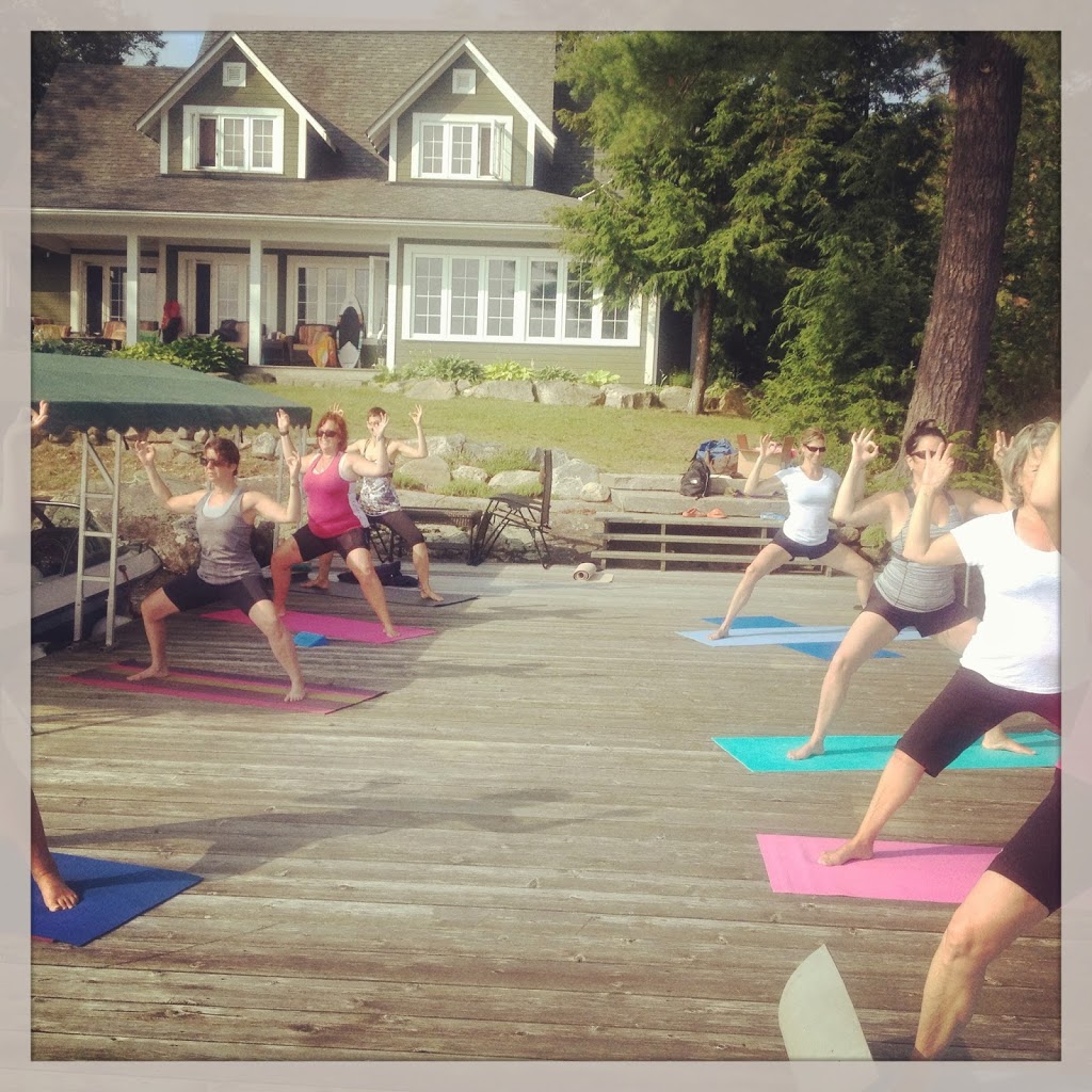 Active Turtle | 3145 Muskoka District Road 169 Unit # 2, Bala, ON P0C 1A0, Canada | Phone: (705) 641-0513
