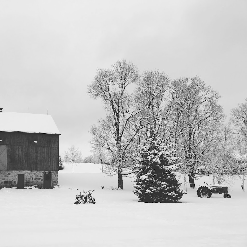 Hockley Valley Farm | 307509 Hockley Rd, Mono, ON L9W 6M9, Canada | Phone: (905) 715-0520