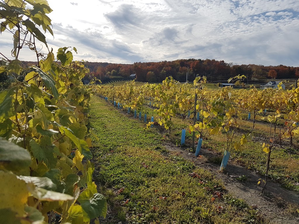 Vignoble & Microbrasserie Les Vents d'Ange 839 Chemin Principal