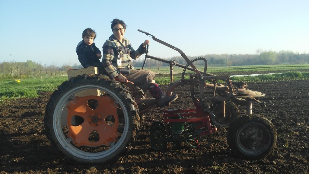 Cedar Down Farm | 222145 Concession Rd 14, Neustadt, ON N0G 2M0, Canada | Phone: (519) 665-2008