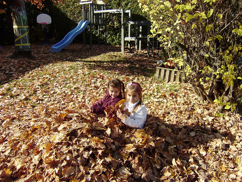 Ecole De Bilinguisme | 1420 Rue Caron, Sherbrooke, QC J1K 2H5, Canada | Phone: (819) 564-1767