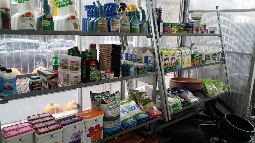 Davenport Garden Centre | 368 Davenport Rd, Toronto, ON M5R 1K6, Canada | Phone: (416) 929-7222