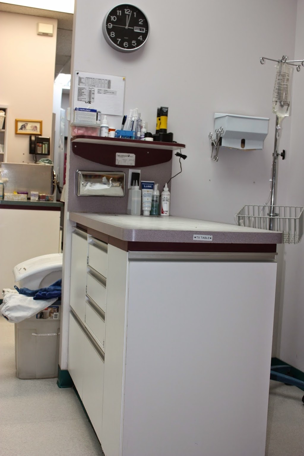 Calgary Cat Clinic | 2116 Crowchild Trail NW, Calgary, AB T2M 3Y7, Canada | Phone: (403) 289-9999