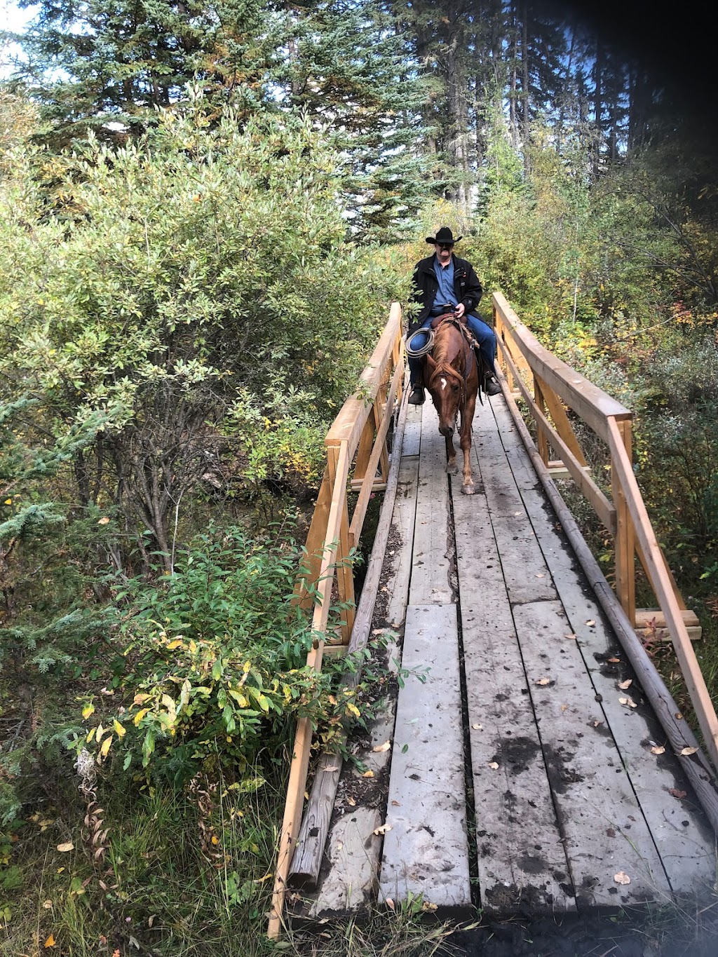 Drayton Valley Horse Club | 49028 Range Rd 91, Pembina, AB T0E 1K0, Canada | Phone: (780) 542-1388