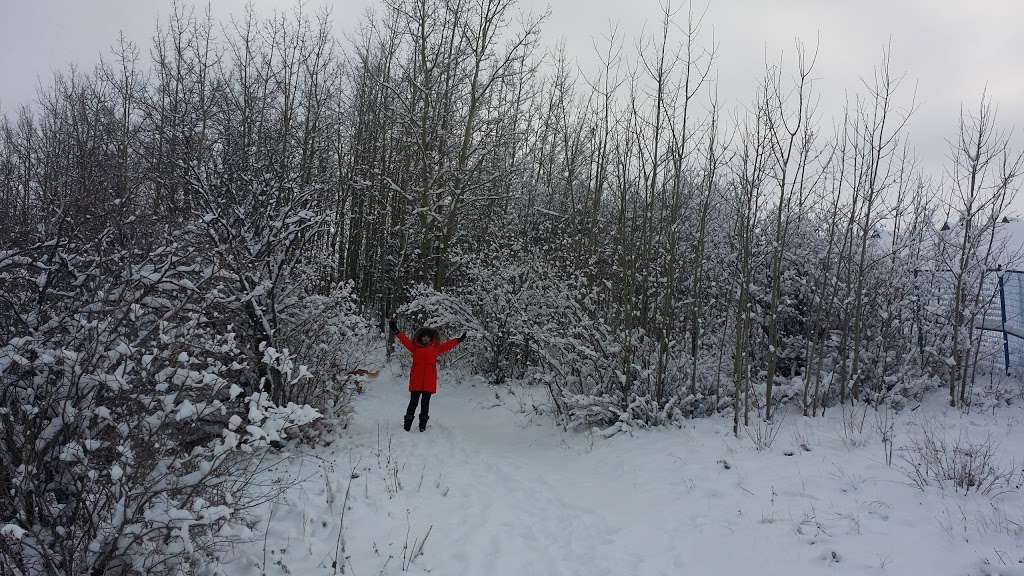 Fireside Bullrush Park | Cochrane, AB T4C 2A3, Canada