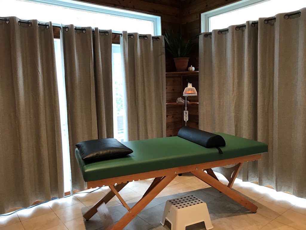 Acupuncture Evelyne Leclerc | 310 Rue Drummond, Granby, QC J2H 0K6, Canada | Phone: (450) 577-6763
