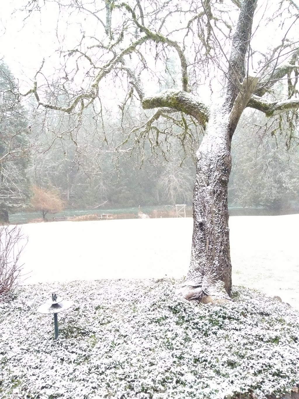 Greendale Riverside Cabins | 8012 Greendale #3, Lake Cowichan, BC V0R 2G0, Canada | Phone: (250) 749-6570