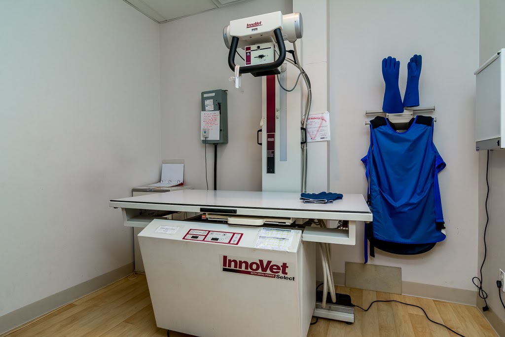 Brookswood Veterinary Hospital | 4059 200 St, Langley City, BC V3A 1K8, Canada | Phone: (604) 534-4174