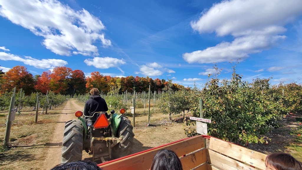 Downeys Apple Farm | 1355 Hopewell Creek Rd, Maryhill, ON N0B 2B0, Canada | Phone: (519) 590-4777