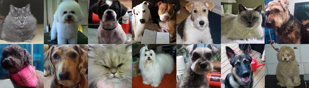 Esthétique Animale | 1338 Bd Raymond, Québec, QC G1B 1X9, Canada | Phone: (418) 802-8471