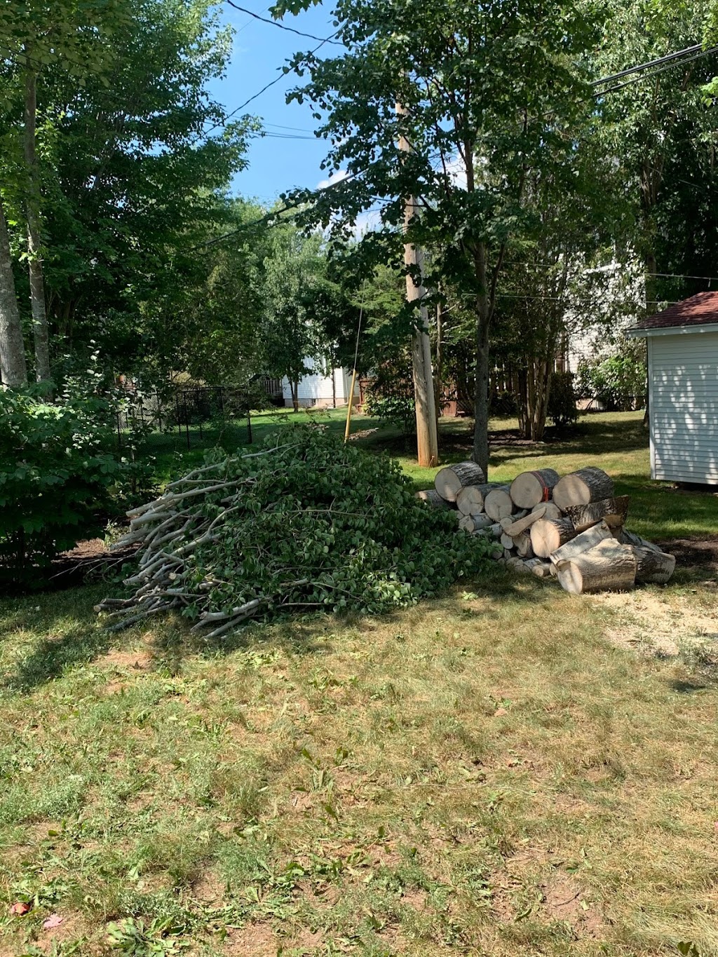 Busy Beavers Tree Service | 182 Chem. Babineau, Grande-Digue, NB E4R 3T8, Canada | Phone: (506) 850-5388