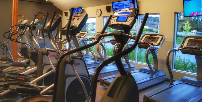 GYM SAINT SAUVEUR INC. | 700 Chemin Jean-Adam #130, Piedmont, QC J0R 1R3, Canada | Phone: (450) 227-4496