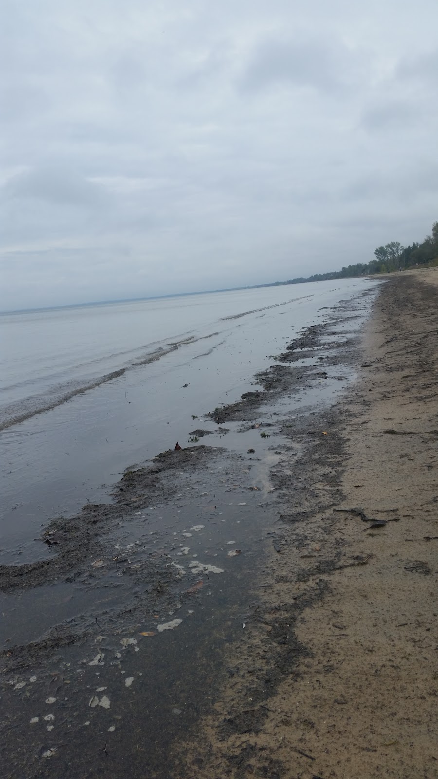 Edgewater Inn | 99 Main St, Wasaga Beach, ON L9Z 2K9, Canada | Phone: (705) 429-3205
