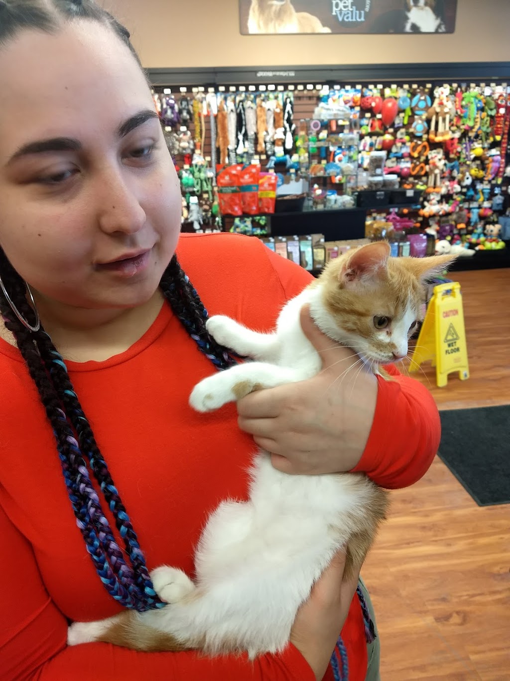 Pet Valu | 9 Pine St N, Thorold, ON L2V 3Z9, Canada | Phone: (905) 227-9794