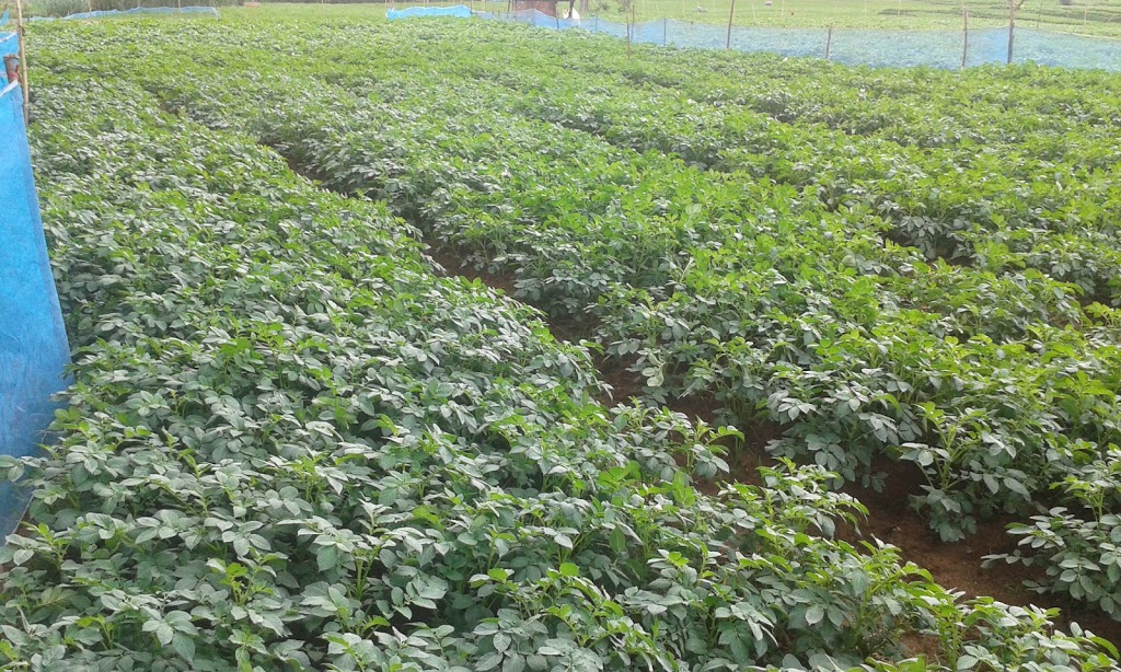 Farm & Food Care Ontario | 660 Speedvale Ave W, Guelph, ON N1K 1E5, Canada | Phone: (519) 837-1326