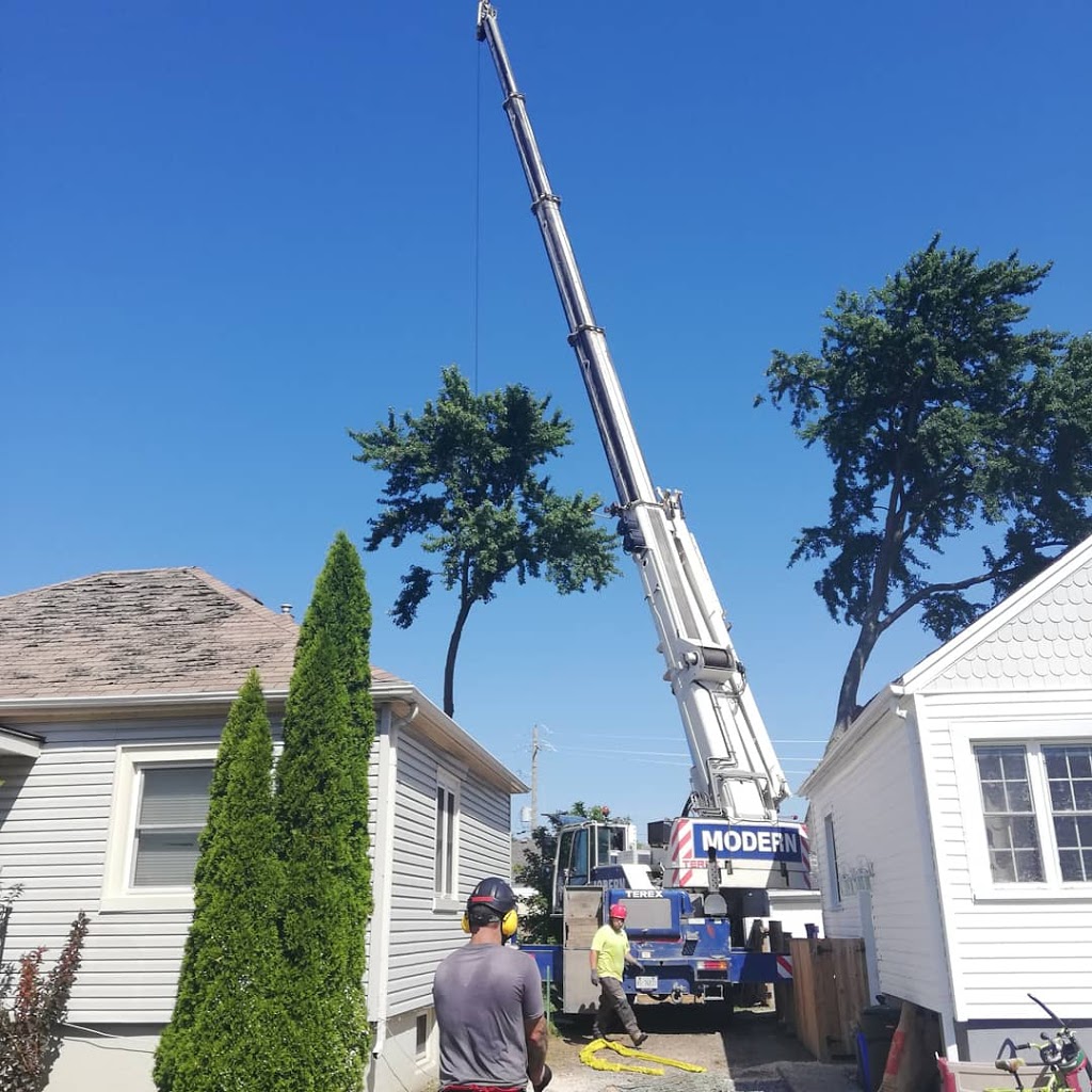 TREEMORE | 636 Cope Rd, Welland, ON L3B 5N7, Canada | Phone: (905) 933-1094