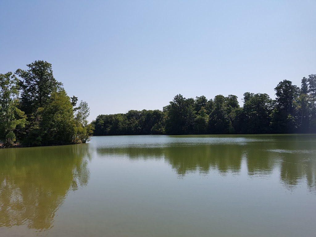 Sharon Creek Conservation Area | 4212 Springer Rd, Delaware, ON N0L 1E0, Canada | Phone: (519) 264-2420