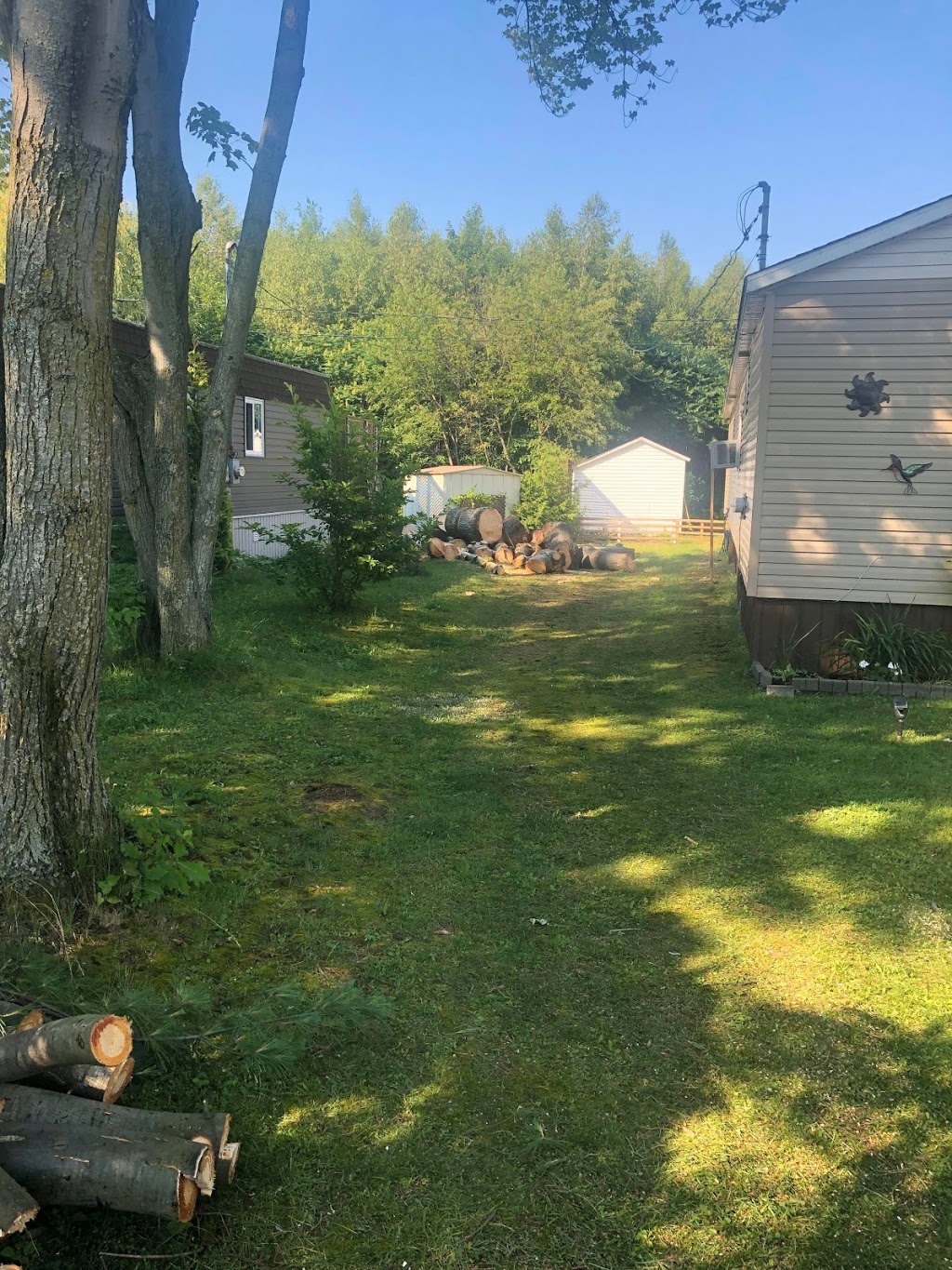 Service d’Arbres Beauchemin | 116 Chemin de lÎle dEmbarras, Sorel-Tracy, QC J3P 5N3, Canada | Phone: (514) 816-6804
