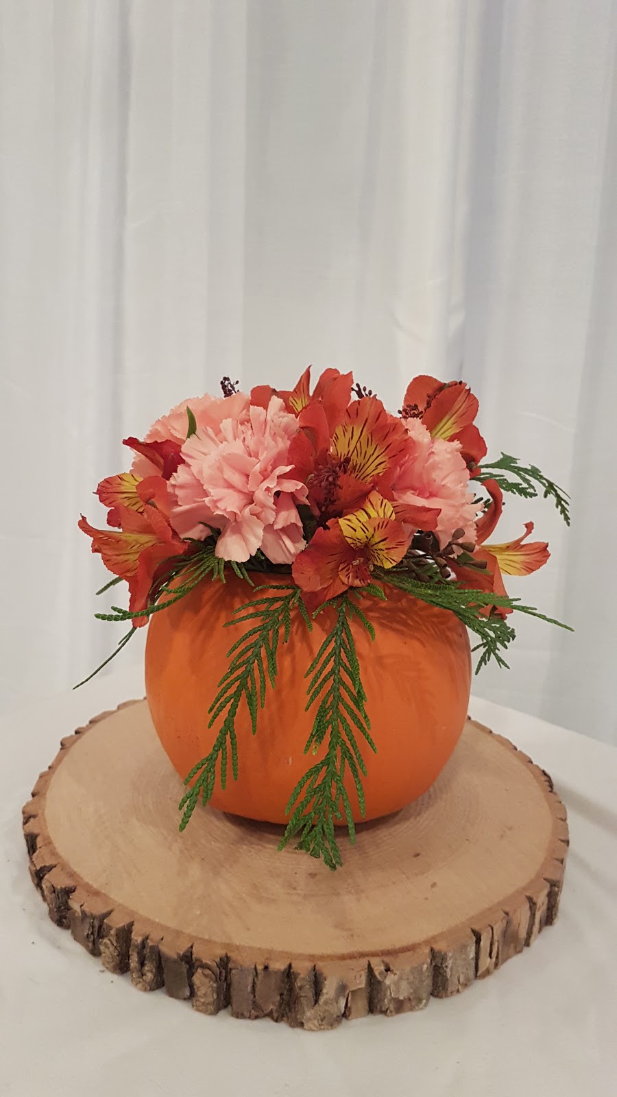 Aster & Evergreen | 2119 Dundas St Box 385, Cardinal, ON K0E 1E0, Canada | Phone: (343) 260-9911