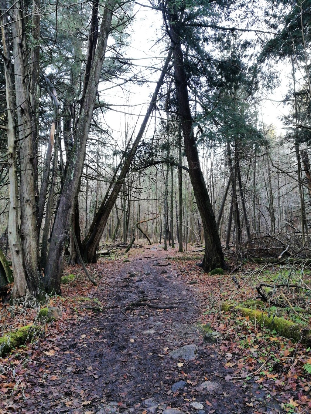 Rouge National Urban Park, Twyn Rivers | 55 Twyn Rivers Dr, Scarborough, ON M1B, Canada | Phone: (416) 264-2020
