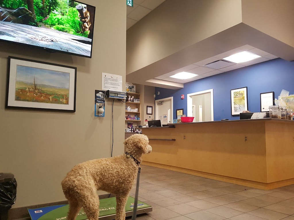 Coastal Rivers Pet Hospital | 1993 Riverside Rd, Abbotsford, BC V2S 4J8, Canada | Phone: (604) 425-1900