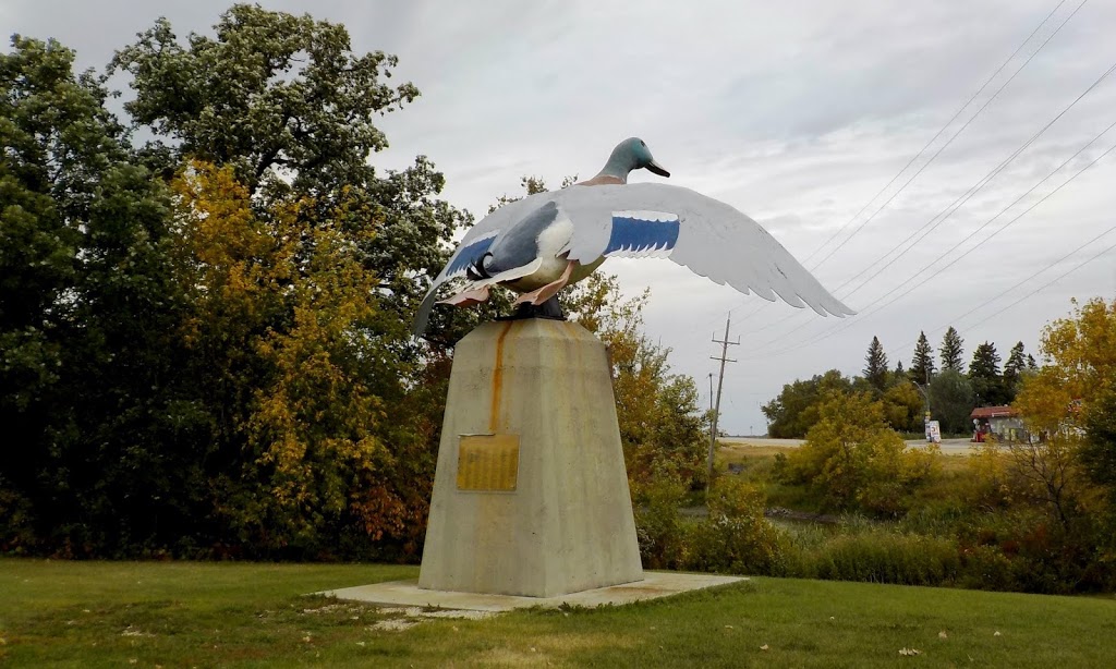 Petersfield Mallard Duck Statue | 8949 Provincial Trunk Hwy 9, Petersfield, MB R0C 2L0, Canada