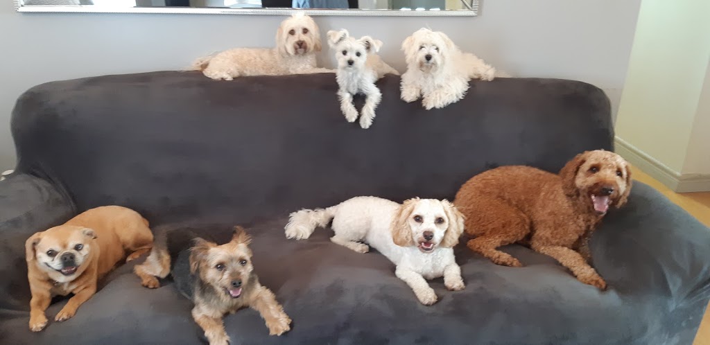 adorablepets.ca More Reviews Enter- "Adorable Pets Reviews" | 253 Eaglewood Blvd, Mississauga, ON L5G 1V9, Canada | Phone: (905) 990-1599