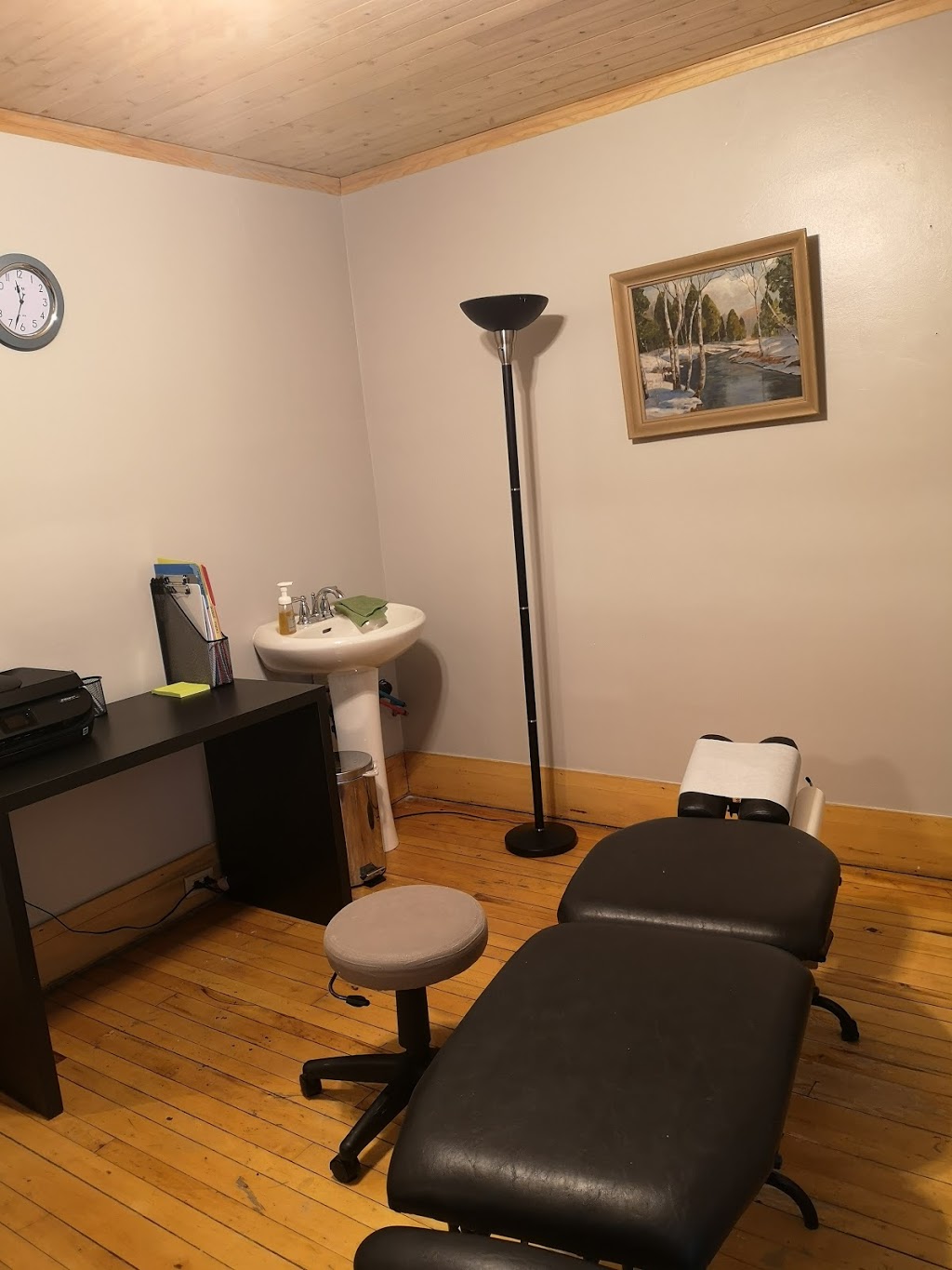 Dr.Monique Petricone Chiropractic Clinic | 6 Dufferin St S, Alliston, ON L9R 1G7, Canada | Phone: (705) 418-1492