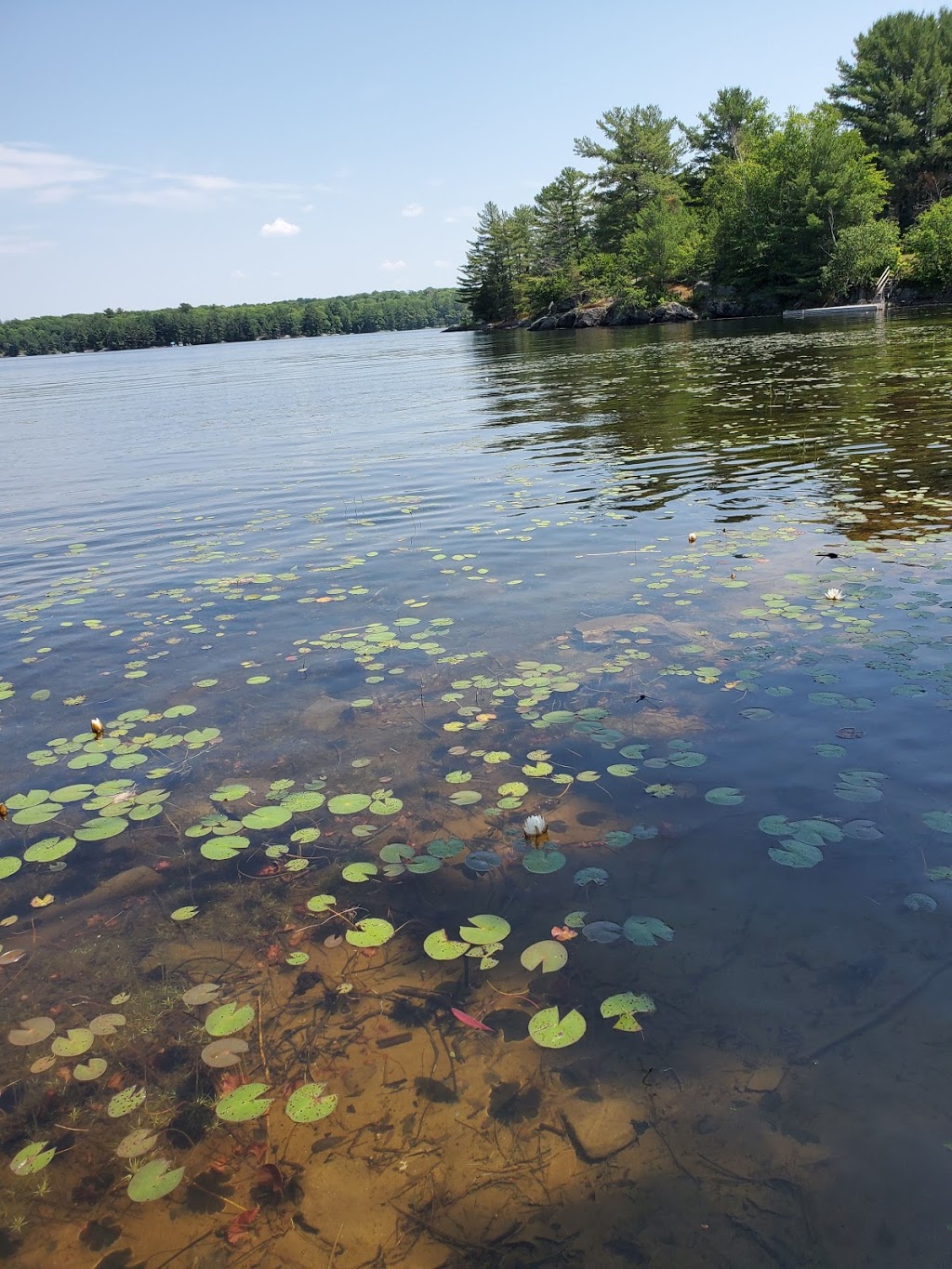 Horseshoe Pines Marina | 9 Haven Dr, Parry Sound, ON P2A 2W8, Canada | Phone: (705) 378-2437