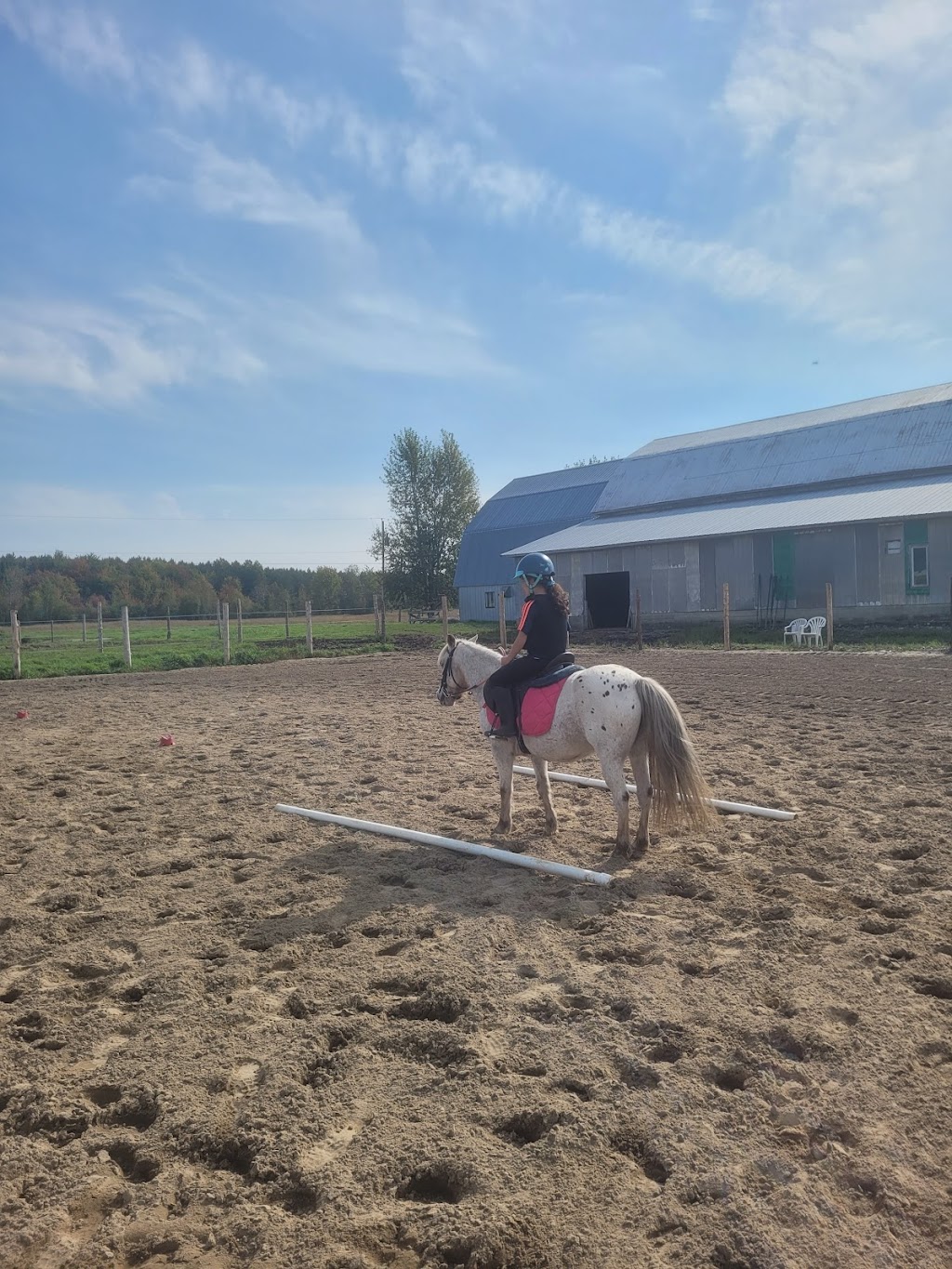 Les Écuries Milton Stables | 1297 10e Rang O, Saint-Adrien, QC J0A 1C0, Canada | Phone: (819) 432-5521
