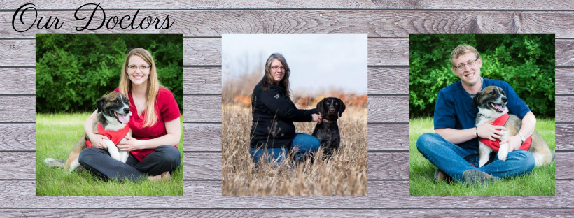 Prairie Animal Health Centre | 416 7 St NW W, Weyburn, SK S4H 2K7, Canada | Phone: (306) 910-7242