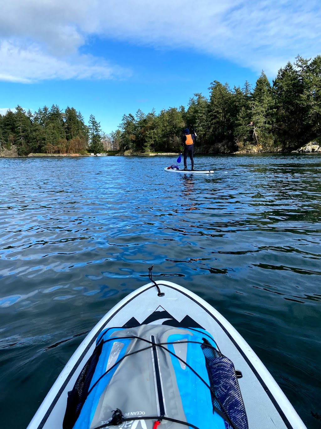 Blue Jellyfish SUP Adventures | 72300 Canoe Cove Rd, North Saanich, BC V8L 3X9, Canada | Phone: (778) 351-2583